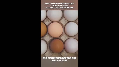 Preserve your eggs the Amish way - Reload from Renard