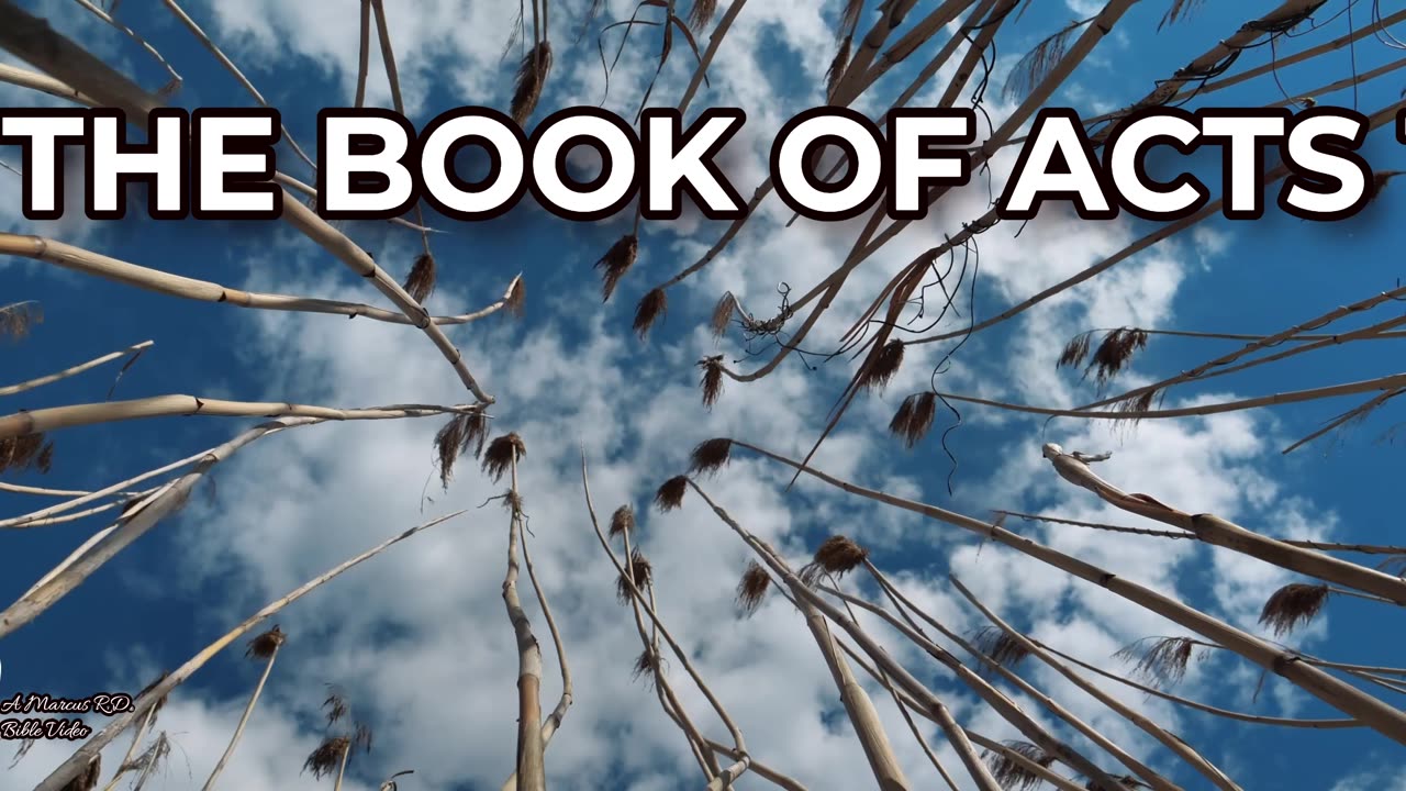 The Book of Acts 1