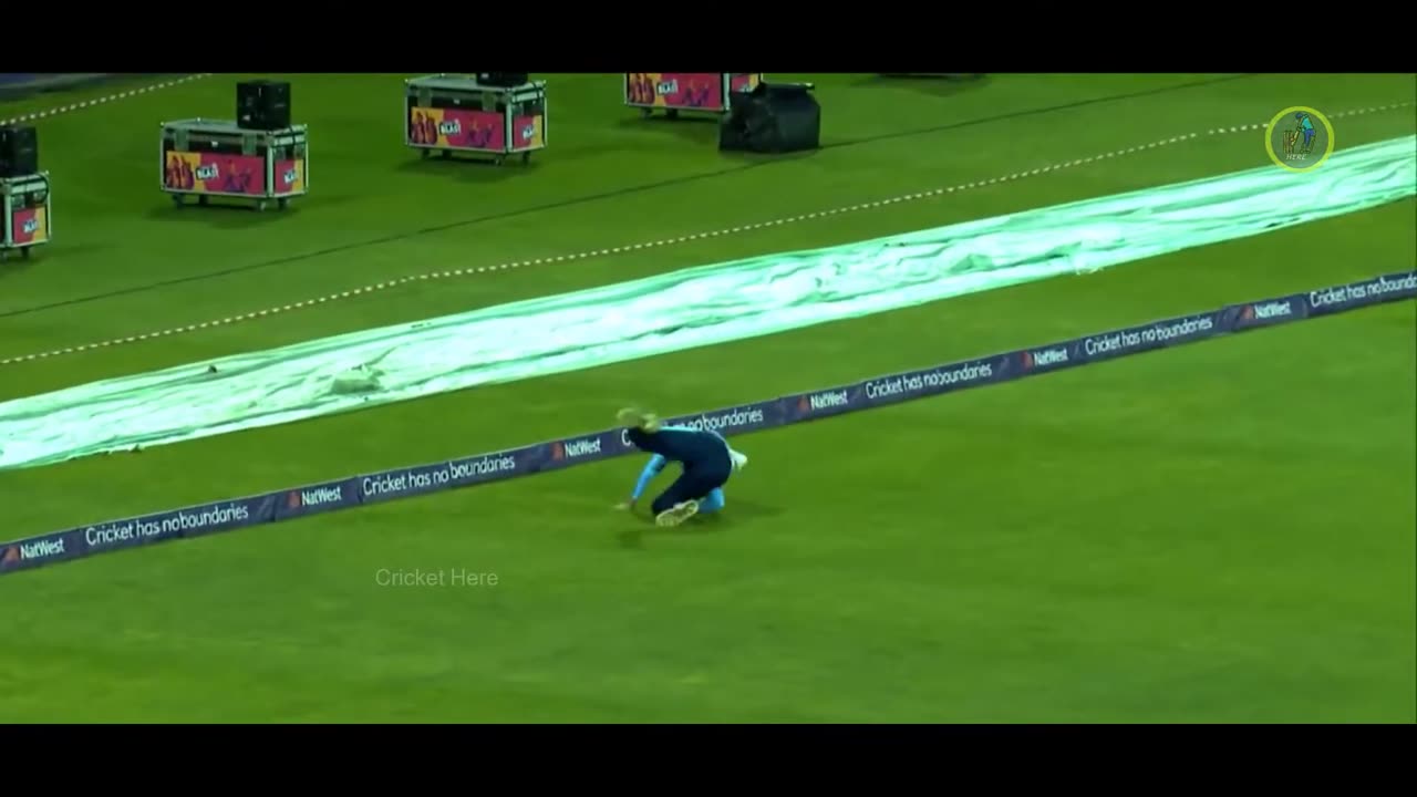 Funny Cricket Catches