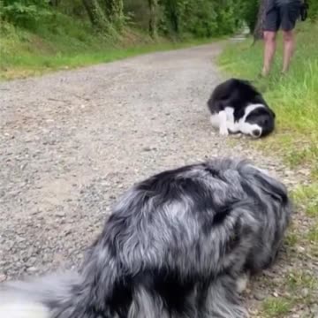 These two best friends first time seeing eachother in over a year.. 😊