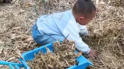 Sometimes, the smallest hands do the biggest work!.hd