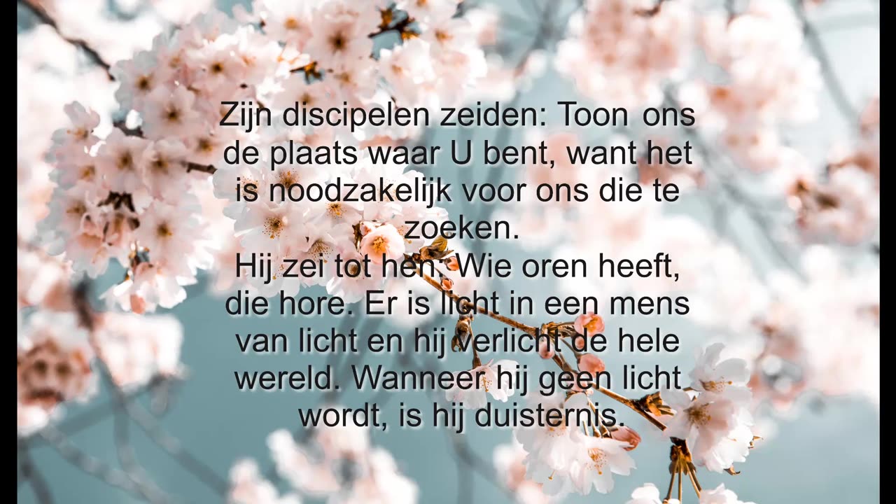Toon ons