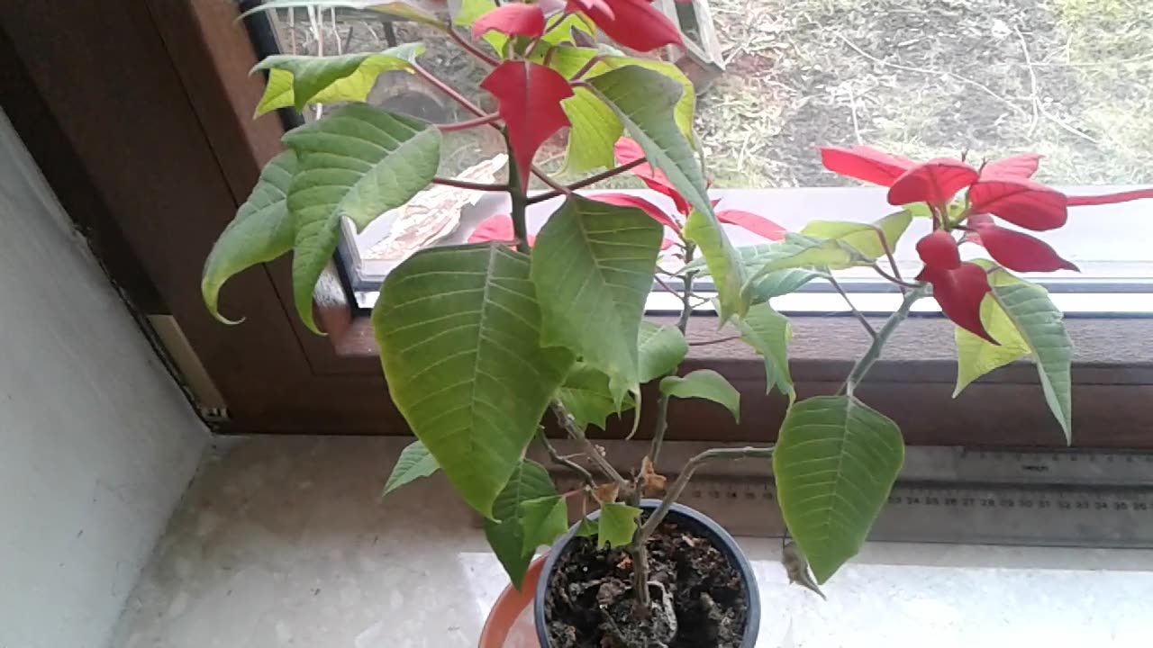 Dlaczego gry komputerowe są niezdrowe