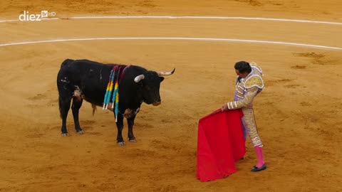 T15E31 | Tendido Diez | 17-09-2025
