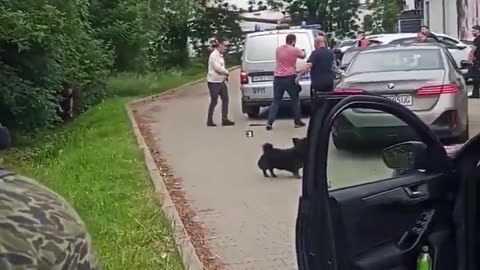 Policjant został ranny w łydkę. Funkcjonariusze użyli broni.
