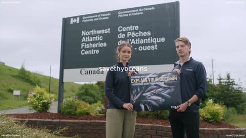 Rebuilding Capelin Your Voice Matters