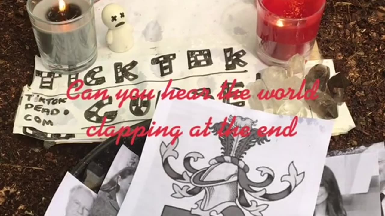 Tim Rifat TikTok Videos