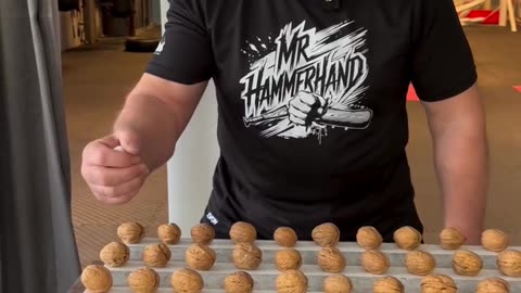 Mr. Hammerhand Sets Walnut Breaking World Record