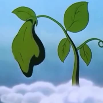 funny video funny videos all funny video bangla funny vide tiktok funny video new funny video