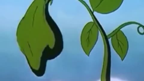 funny video funny videos all funny video bangla funny vide tiktok funny video new funny video