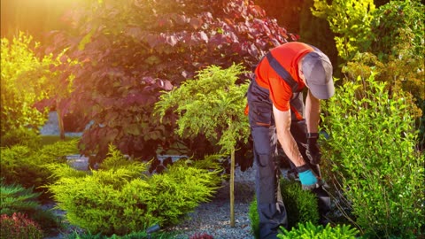 T & H Lawn Care