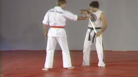 Hapkido Cane