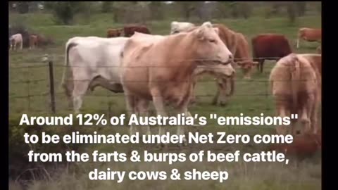 SUSAN LEY - New Australian 'Opposition' Leader - WE NEED TO REDUCE EMISSIONS