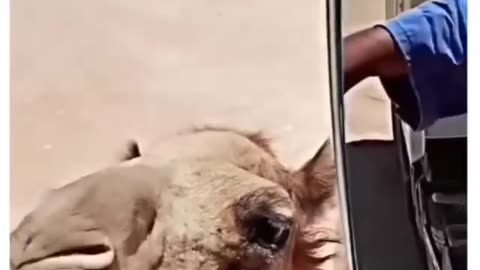 One small act, one big difference