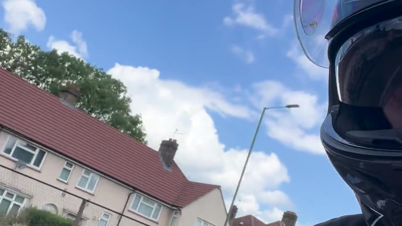 🐶🚗 Dog Loves the Commute! | FunFM