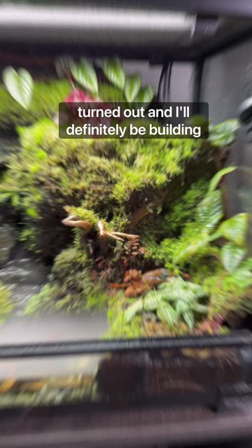 100 Days Since Adding Life!