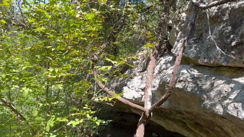 Tonkawa Cave Mother Neff S.P. TX