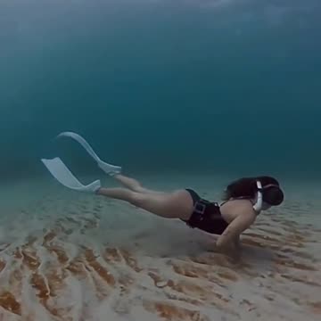 Freediving Tagulo Reef: Glide Through Dapitan’s Lesser-Known Coral Frontier