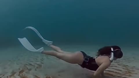 Freediving Tagulo Reef: Glide Through Dapitan’s Lesser-Known Coral Frontier