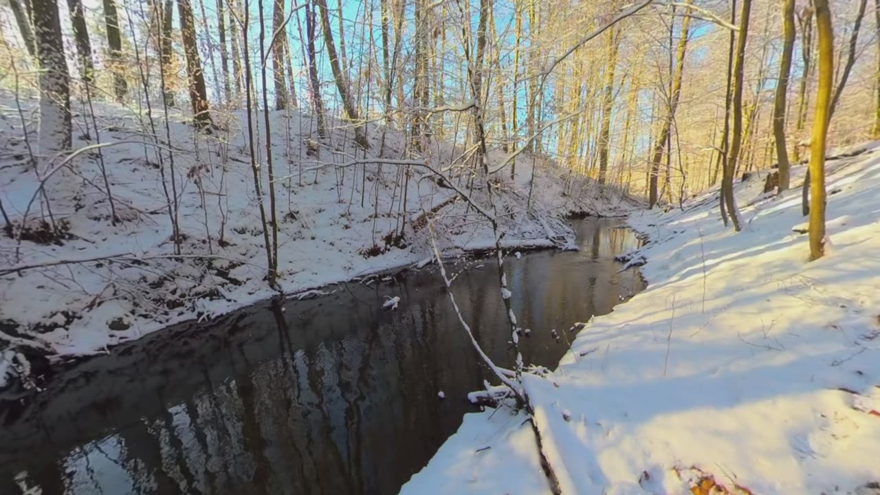 Peaceful Stream 4K Relax in the Heart of Nature