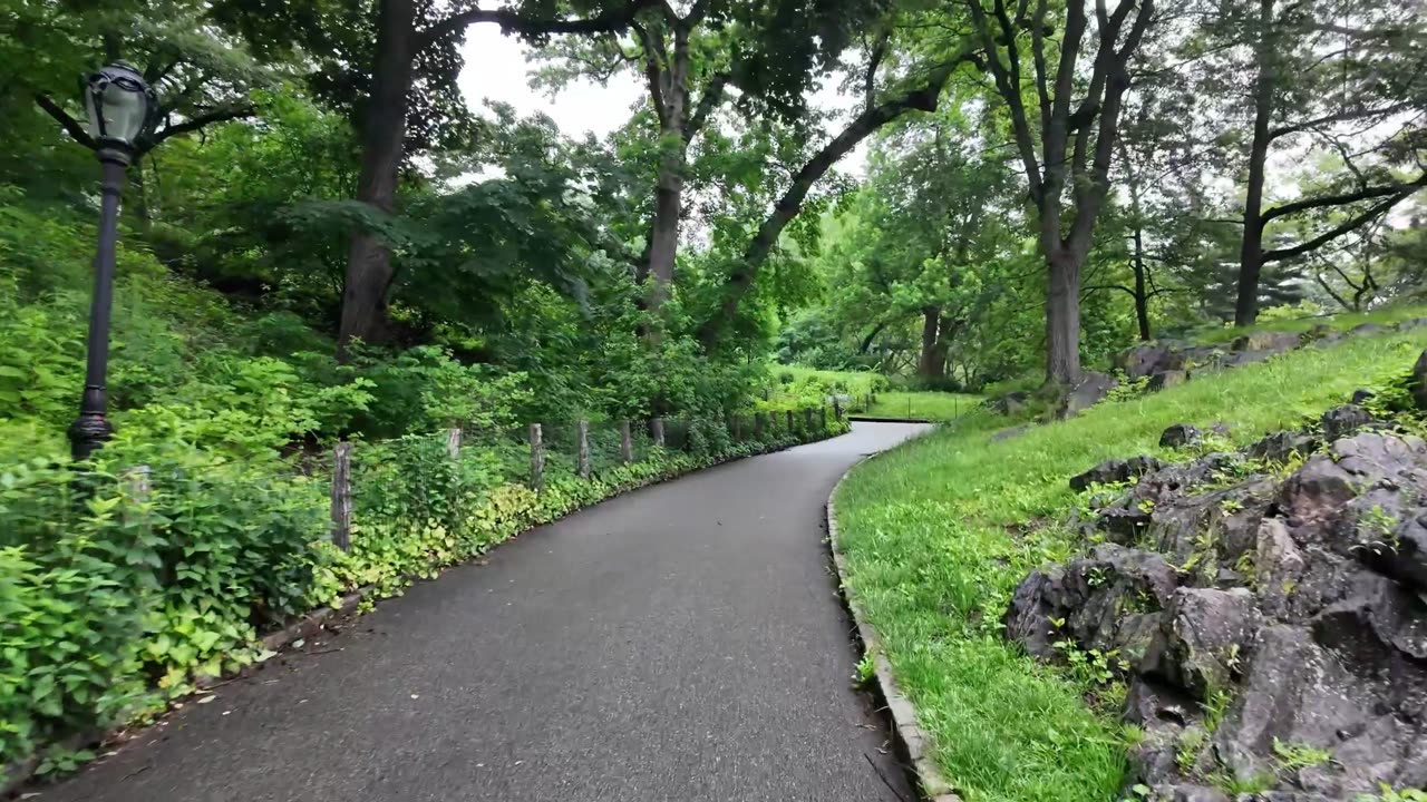 New York City LIVE Walking (chat on YouTube)