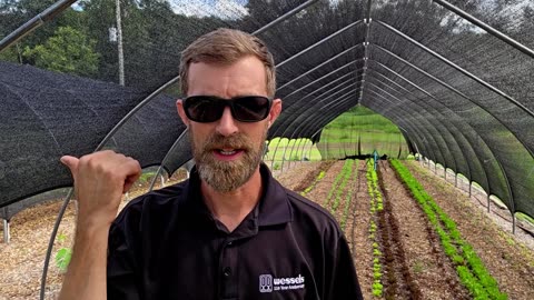 We Are Done! (for this coming weekend.) 8-13-25