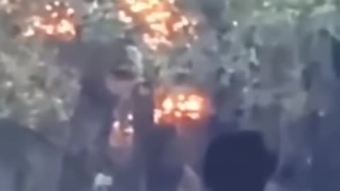 😱👻 Bigfoot Sighting? You Won't Believe What They Caught! | TheHauntingHour