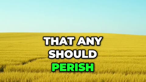 Ministry Without God Burns Out 🔥