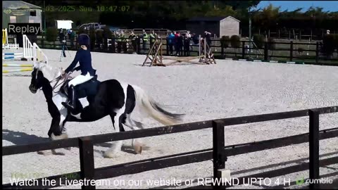 Mousehold Farm All Weather Riding arena