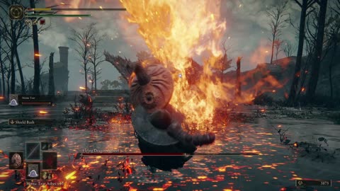 Elden Ring PC | Flying Dragon Agheel boss fight co-op w/summoned Mimic Tear on NG