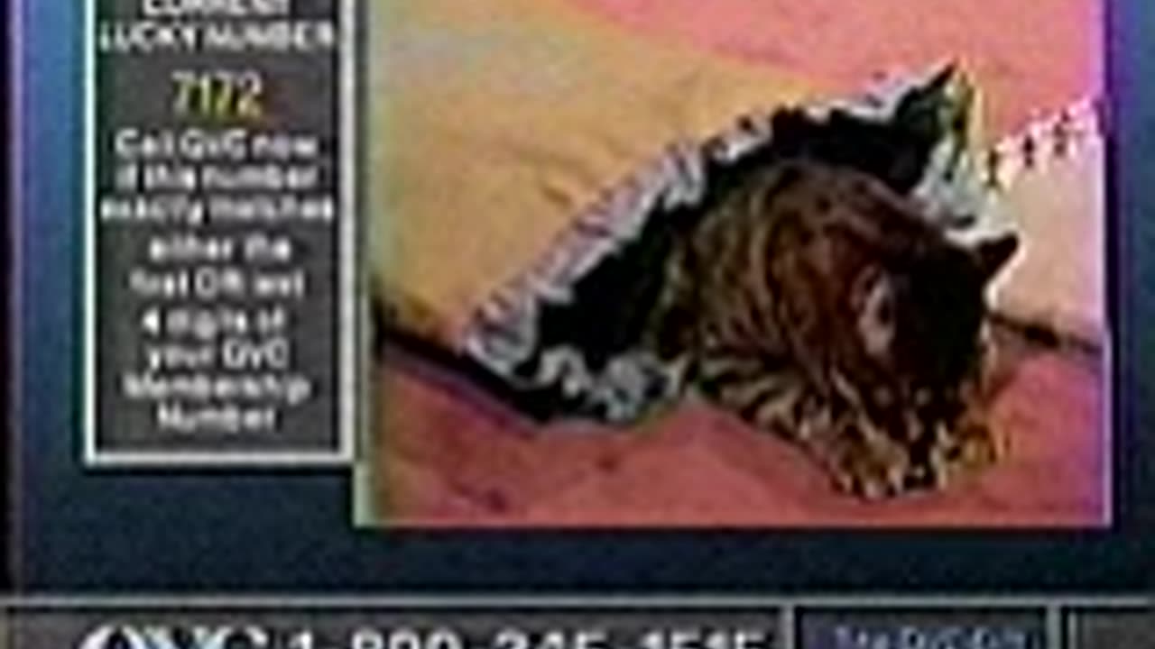 Mike Rowe on QVC - Katsak