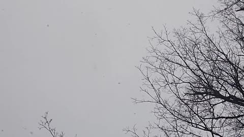 Short snow video