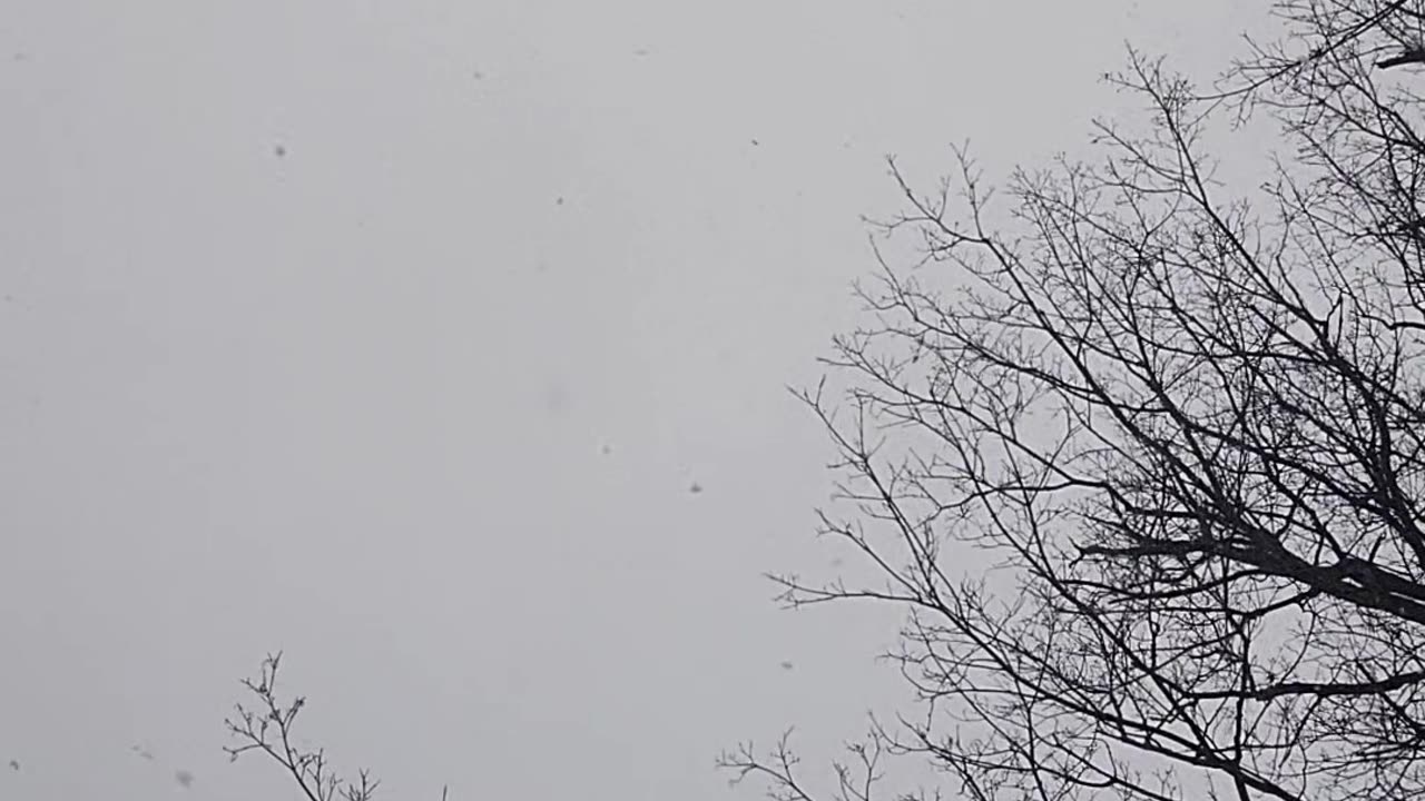 Short snow video