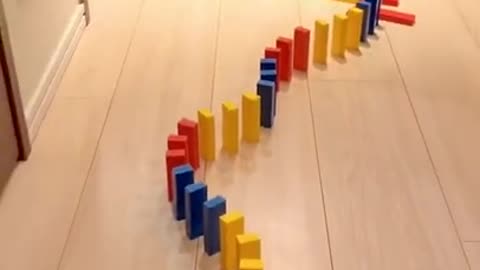 Cute and Funny Dog vs Dominoes