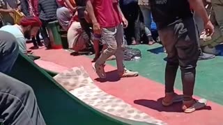 They are over 95% Muslim and arrive in Italy without documents despite there