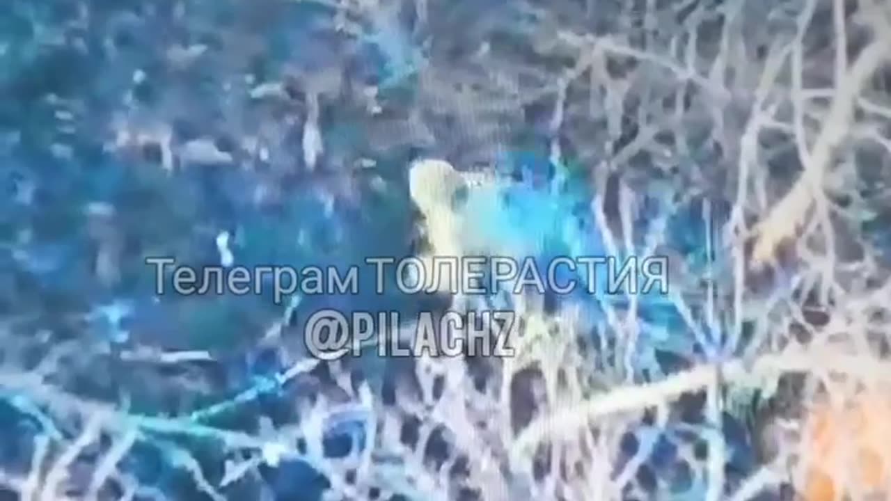 🔥💥 Ukraine Russia War | Servicemen React to Enemy Soldier's VOG Airdrop Attack | RCF