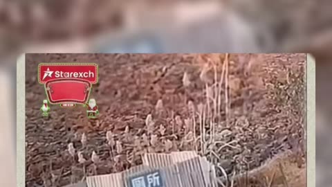 Try to Not Laugh Challenge No. 09 #funny #funnyvideo