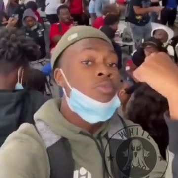 Baboon Brawling In The Skoo Lunchroom