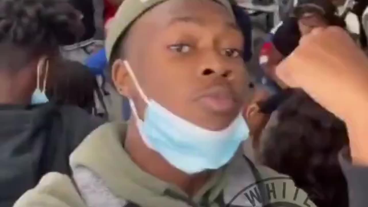 Baboon Brawling In The Skoo Lunchroom
