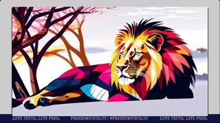 FLF: #17 Unraveling the Truth at Ground Zero w/ Brad Zerbo