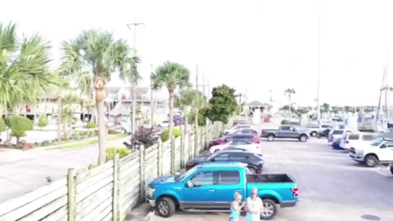 Little flight video