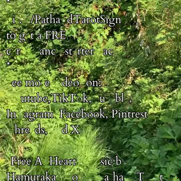 Veils Thin Before You | Path and Tarot Reading