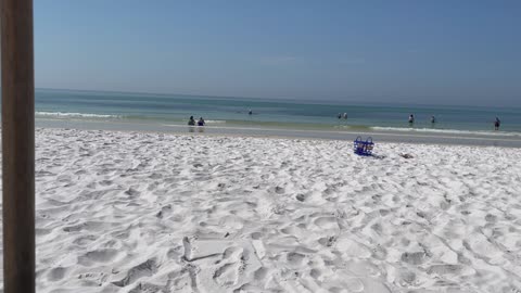 Okaloosa Beach w/ Birds