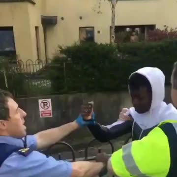 😡 Africans terrorising the Gardaí in Ireland. Ireland was once a peaceful country