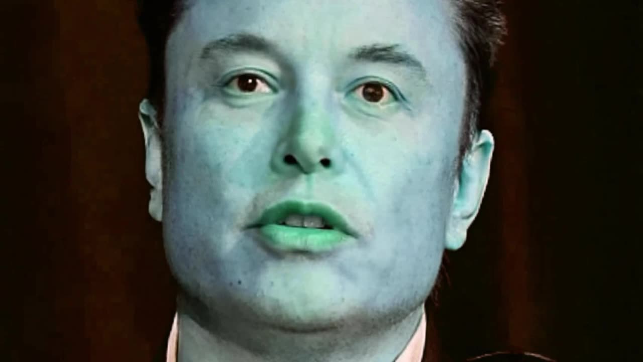 Elon Musk, you wacky bird