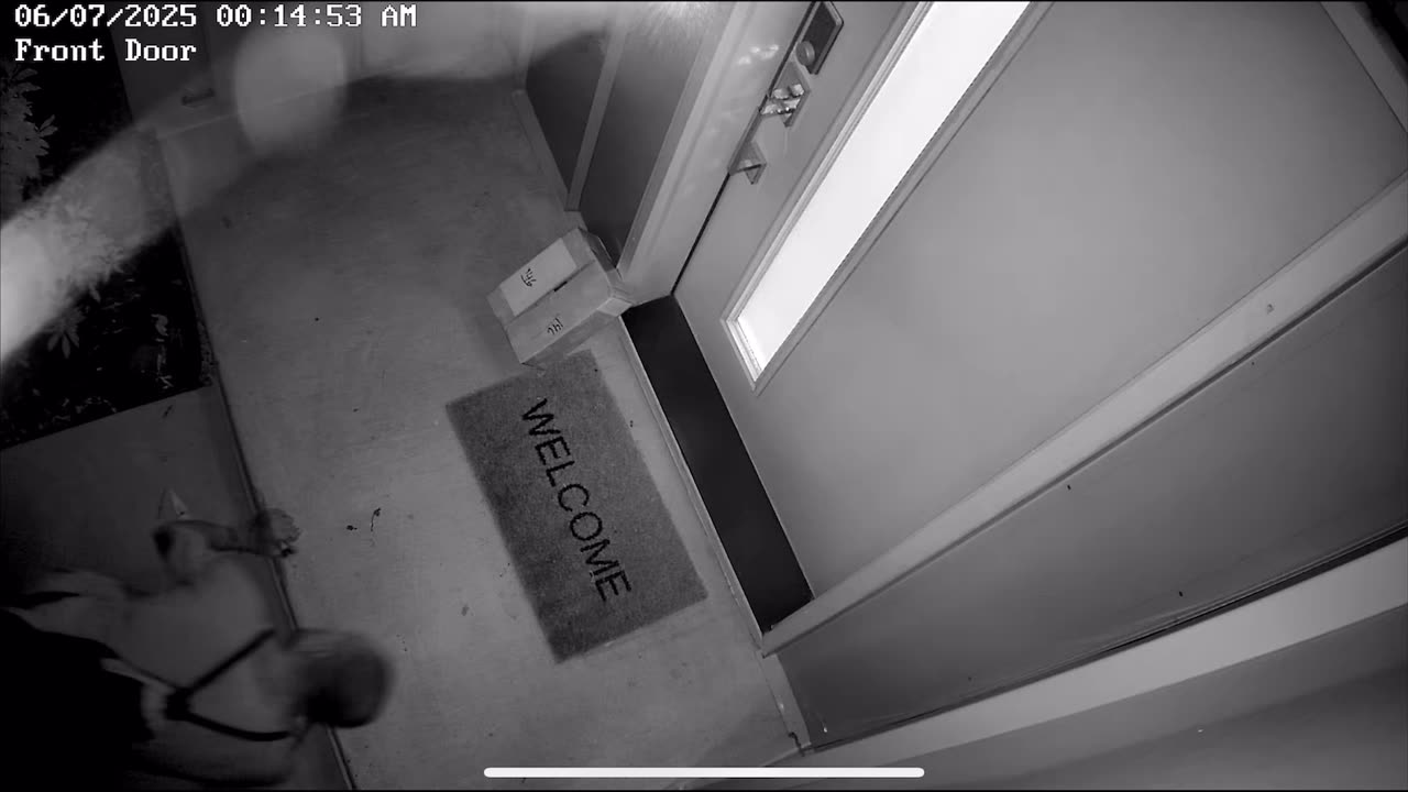 Caught This Guy Stealing a Package at 1am