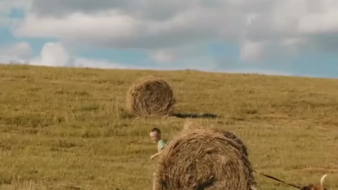 First Farm Story | First Farm Story For Kids | Story |