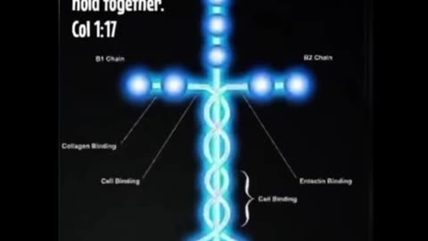 WHEN YOU LEARN THE TRUTH ABOUT THE BLOODLINE OF CHRIST
