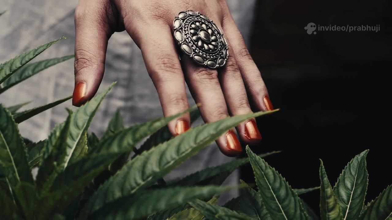 Discover Senco Everlite's Stunning Gold Rings!