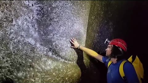 World's Largest Spider Web